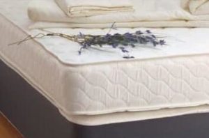 mattress steam clean